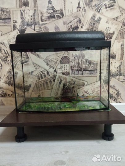 Аквариум