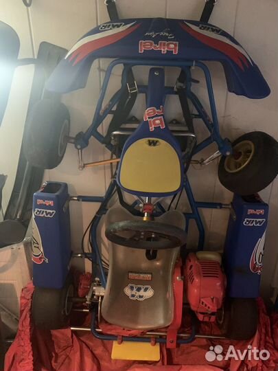 Карт Birel Easy / Rotax