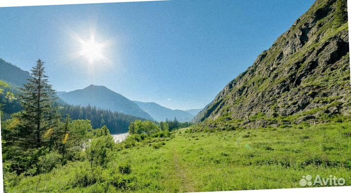 Тур путевка Алтай лето экспедиция до 7-ми дн