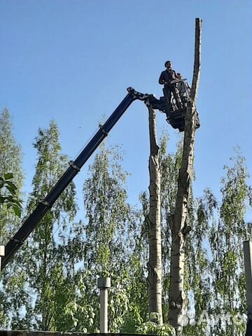 Спил и удаление деревьев