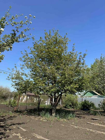 Дом 50 м² на участке 11,2 сот.