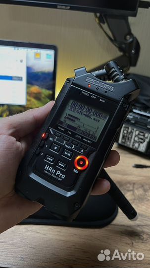 Рекордер Zoom h4n pro black