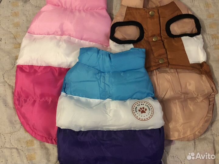 Новая однжда для собак