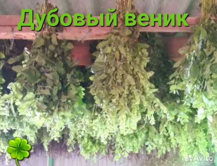 Дубовые веники для бани