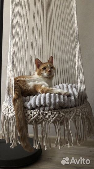Гамак для кошек