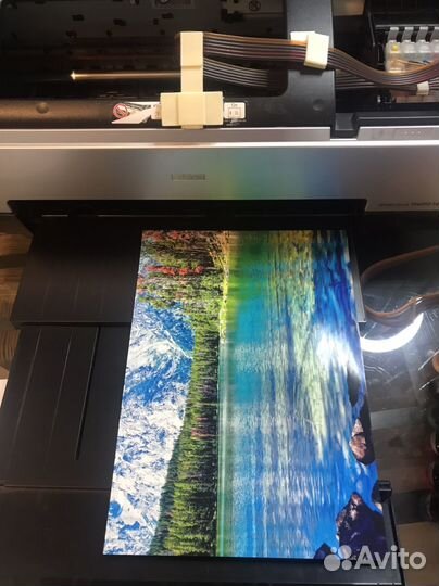 Принтер epson 1410