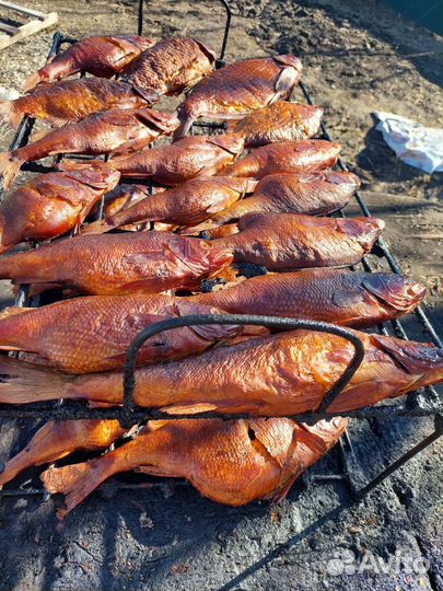 Рыба горячего копчения