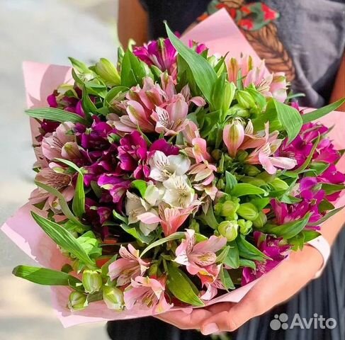 Альстромерия цветы