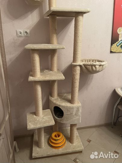 Домик для кошки с когтеточкой