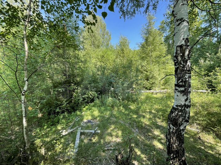 Участок 20 сот. (ИЖС)