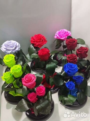 Роза в колбе оптом и в розницу