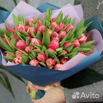 Тюльпаны букет цветы