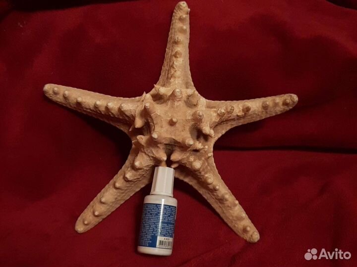 ЖК морская звезда