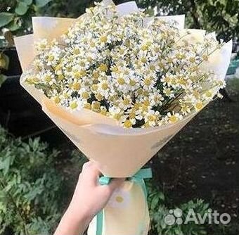 Букеты ромашек