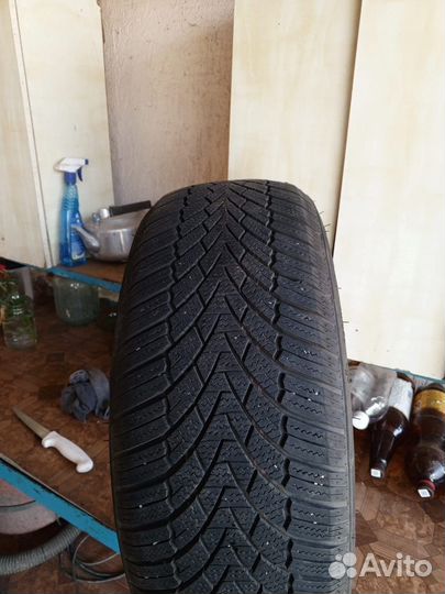 Alliance 320 195/50 R16 V