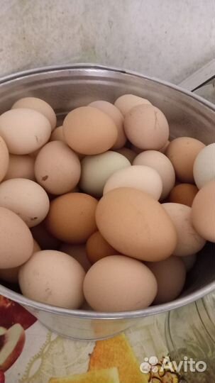 Продам яйцо куриное домашнее