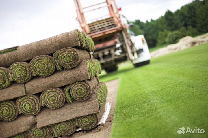 Укладка рулонного газона эконом