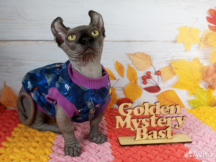 Сфинкс Двэльф