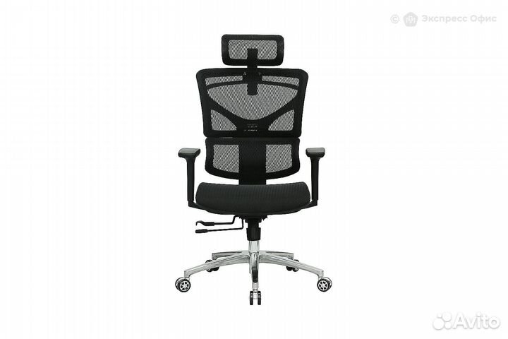 Кресло для руководителя Evolution Ergo Mesh