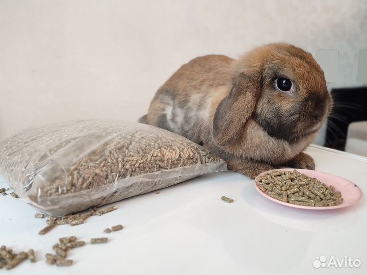 Корм для кроликов Премиум