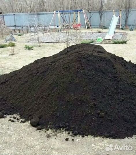 Чернозем