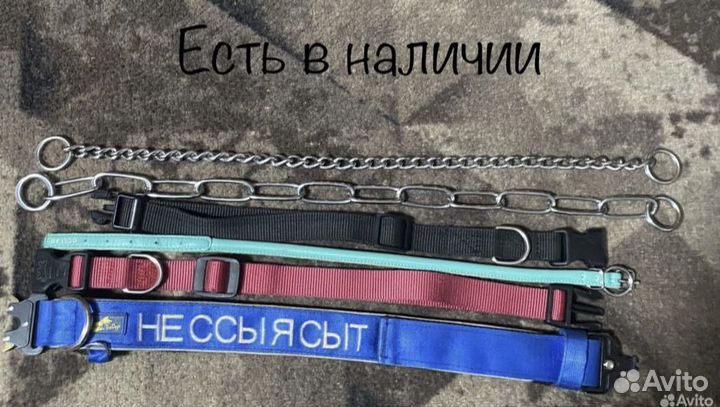 Амуниция для собак