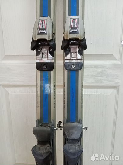 Горные лыжи