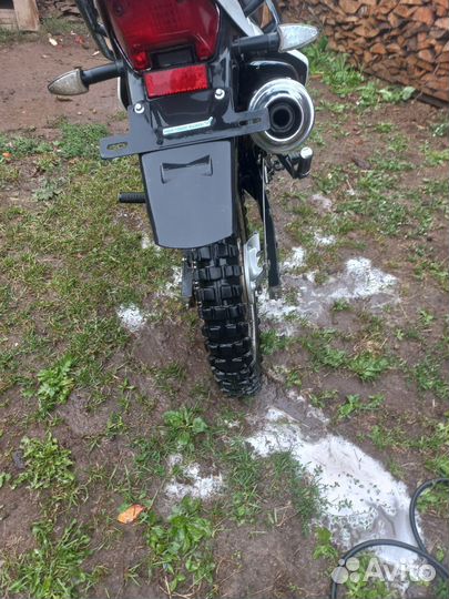 Racer 250 Panther Lite