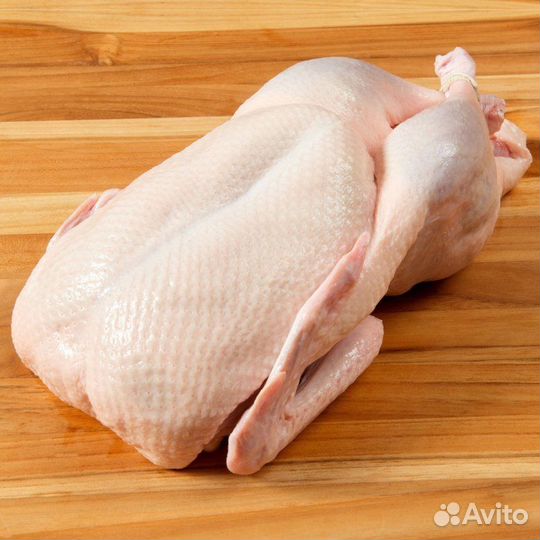 Мясо домашних гусей