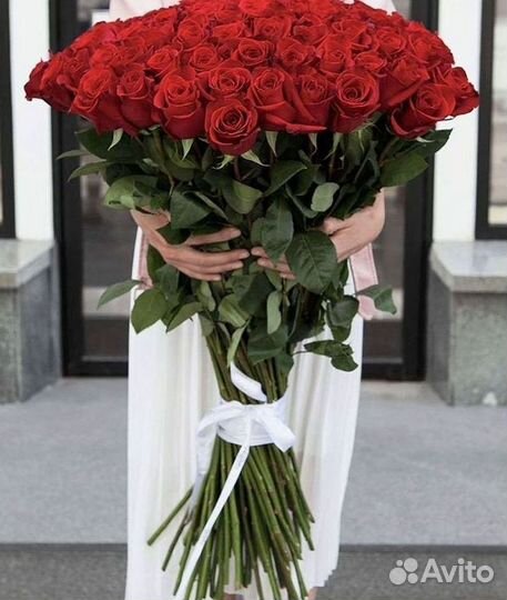 Высокие розы Гигантские розы Доставка цветов