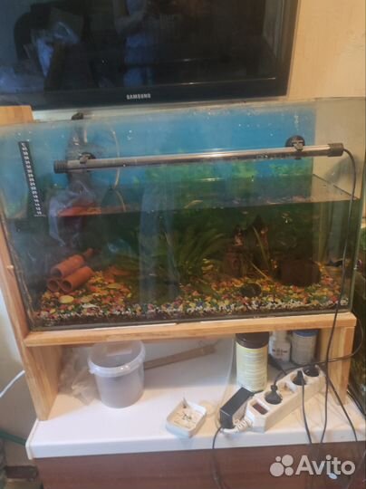Аквариум