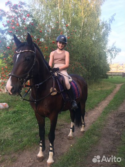 Помогу с лошадью