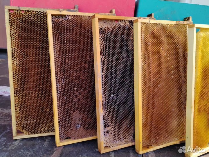 Сушь для пчел