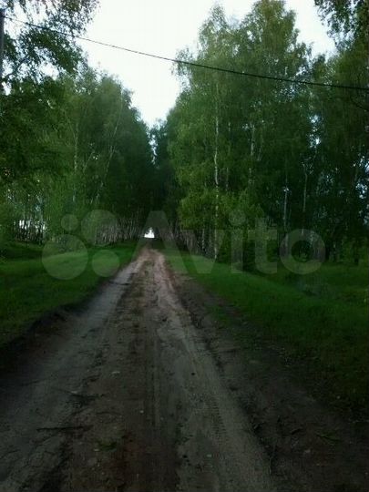 Участок 25 сот. (ИЖС)