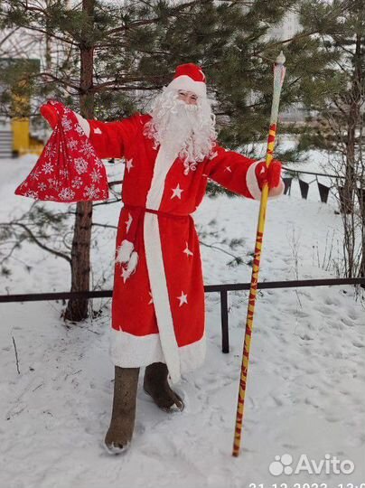 Дед мороз и снегурочка на дом