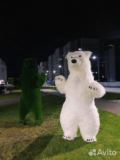 Поздравление белый медведь.Медведь/Ушастик