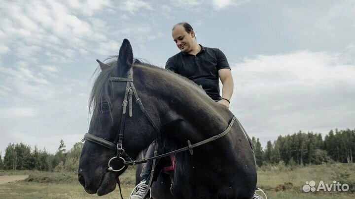 Конные прогулки