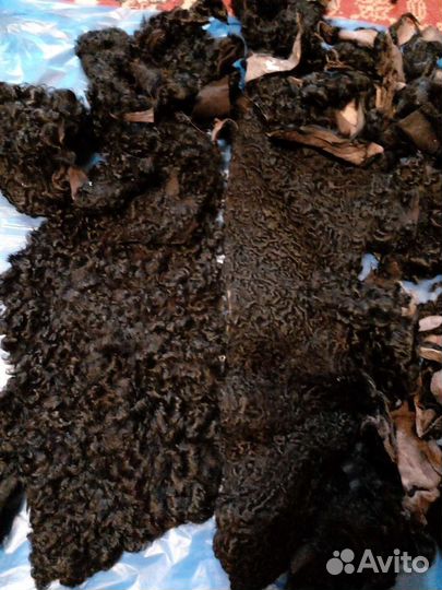 Мех каракуля