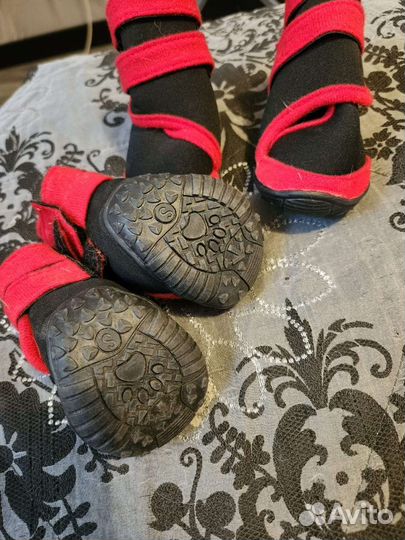 Тапочки для собаки