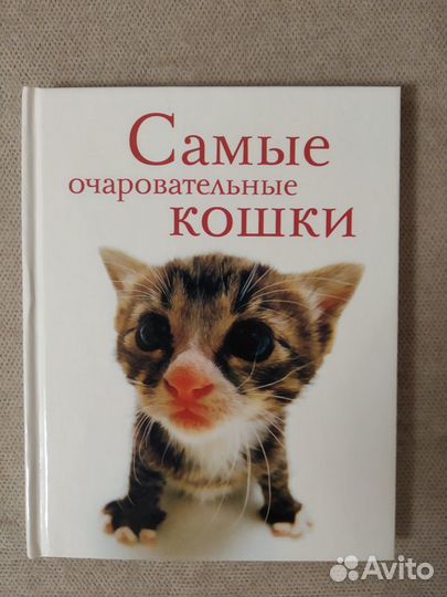 Книги о кошках
