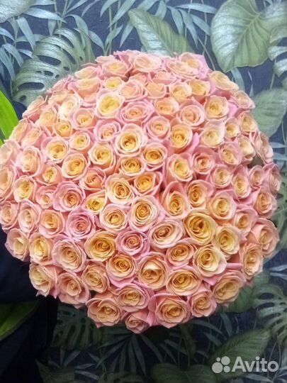 101 Роза цветы букеты 15 25 51 роз