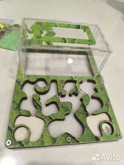 Формикарий для муравьев