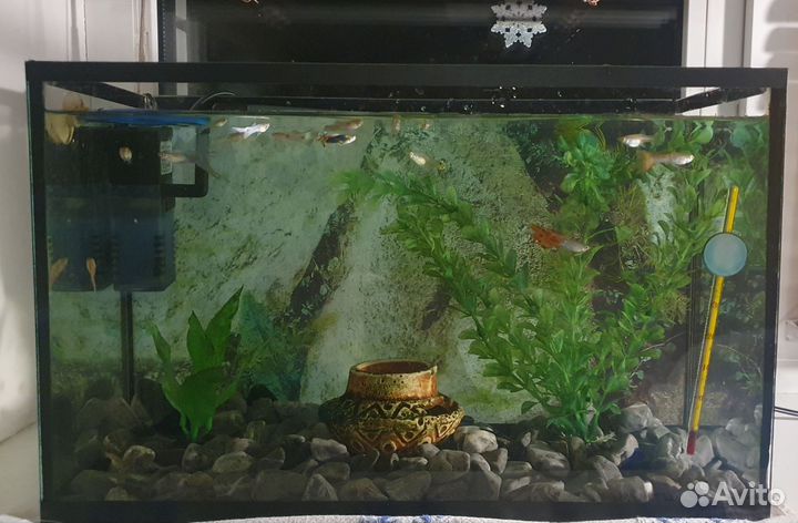 Аквариум