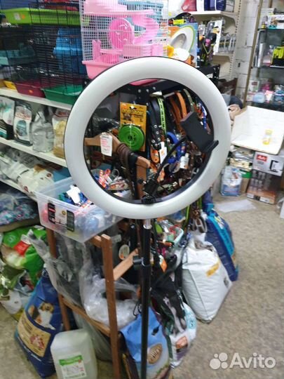 Селфи подсветка