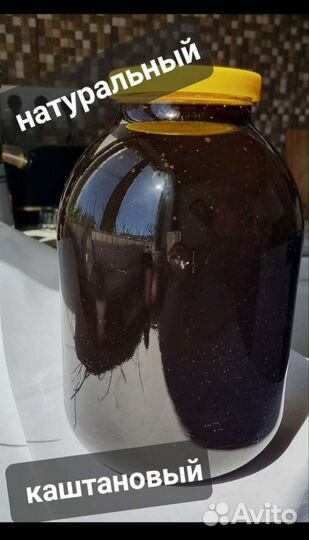 Мед каштановый