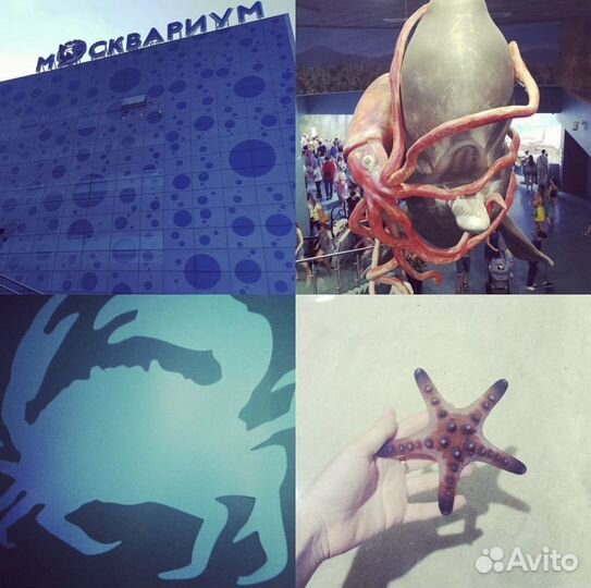 Москвариум