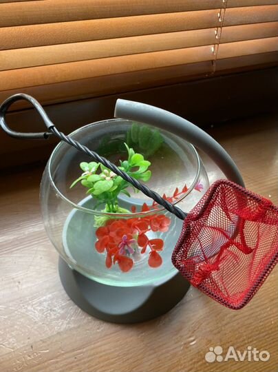 Аквариум 1,8 л для рыбок-петушков