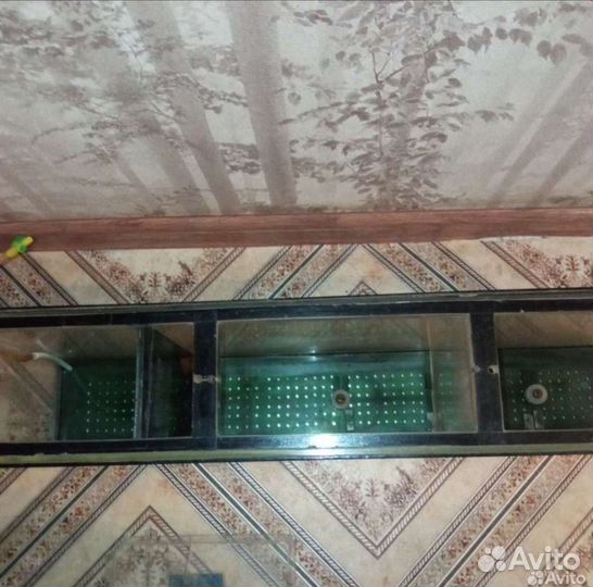 Аквариум переносной