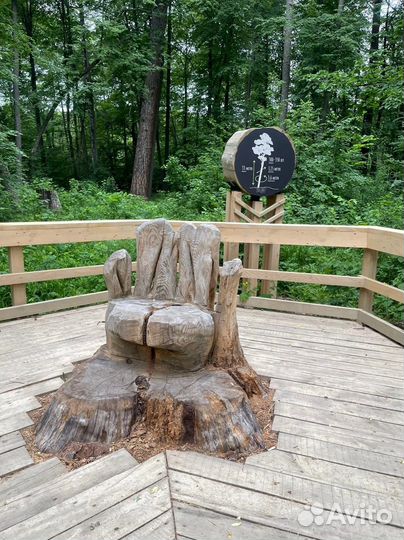 Автобусная экскурсия 