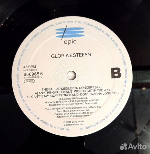 Виниловые пластинки Gloria Estefan